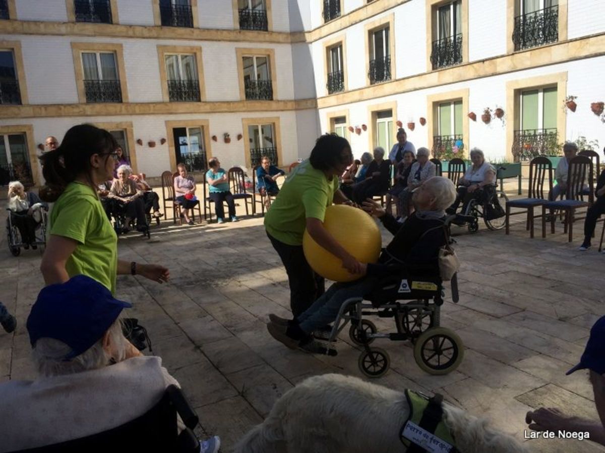 PRUEBAS OLIMPIADAS TARDE