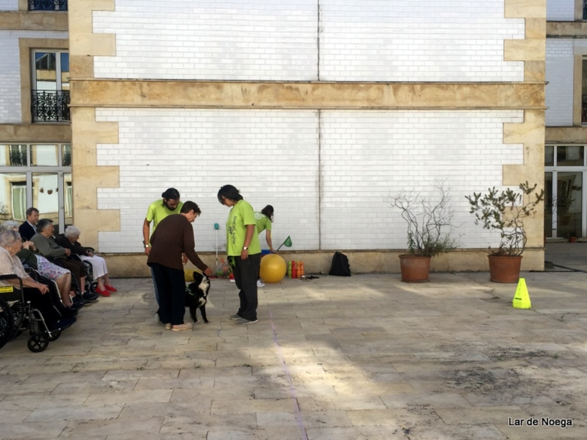 PRUEBAS OLIMPIADAS TARDE