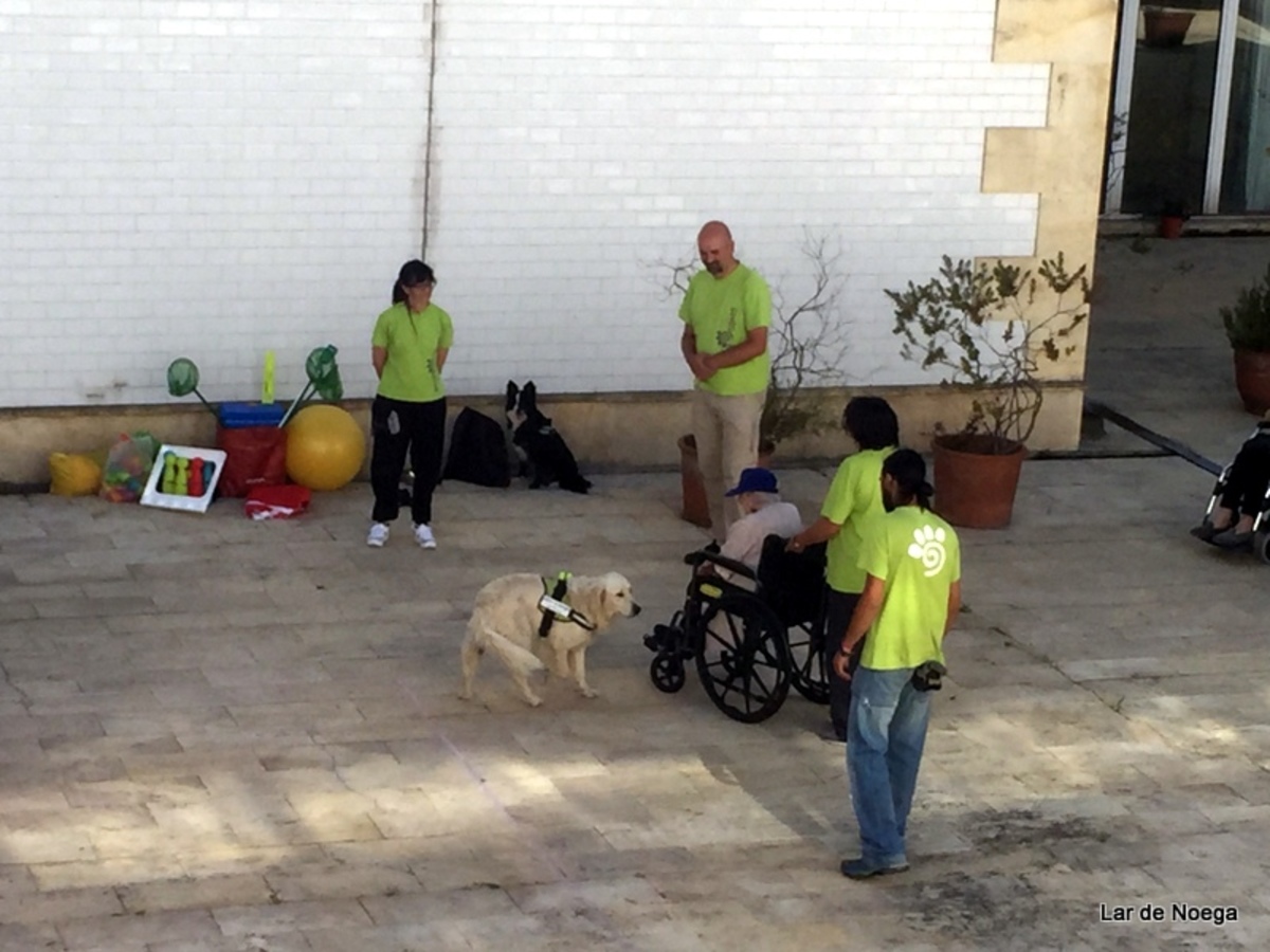 PRUEBAS OLIMPIADAS TARDE