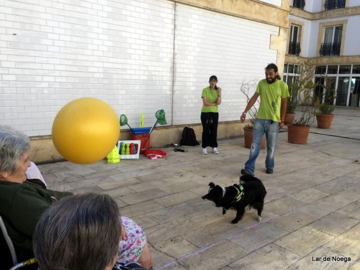 PRUEBAS OLIMPIADAS TARDE