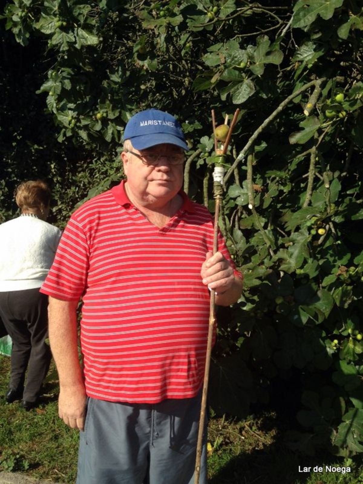 pañando higos en Lar de Noega