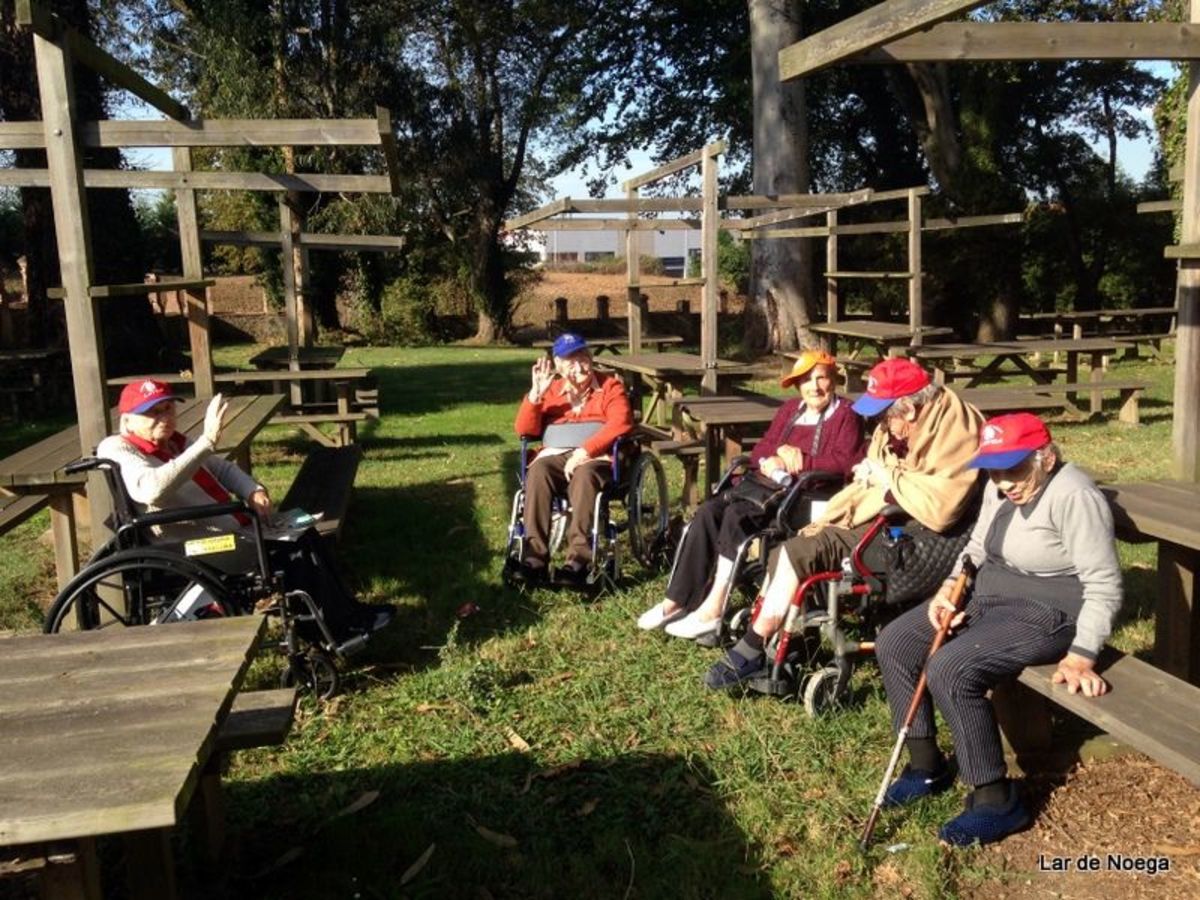 pañando higos en Lar de Noega