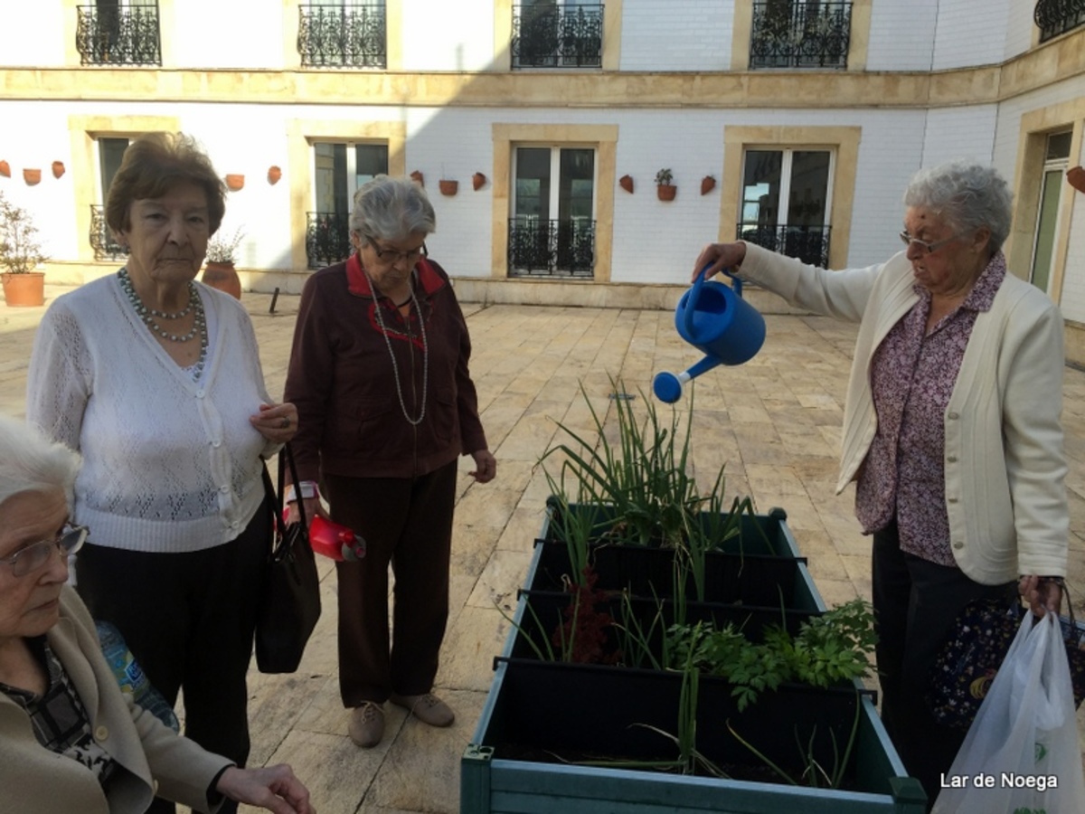 HUERTO III 2016