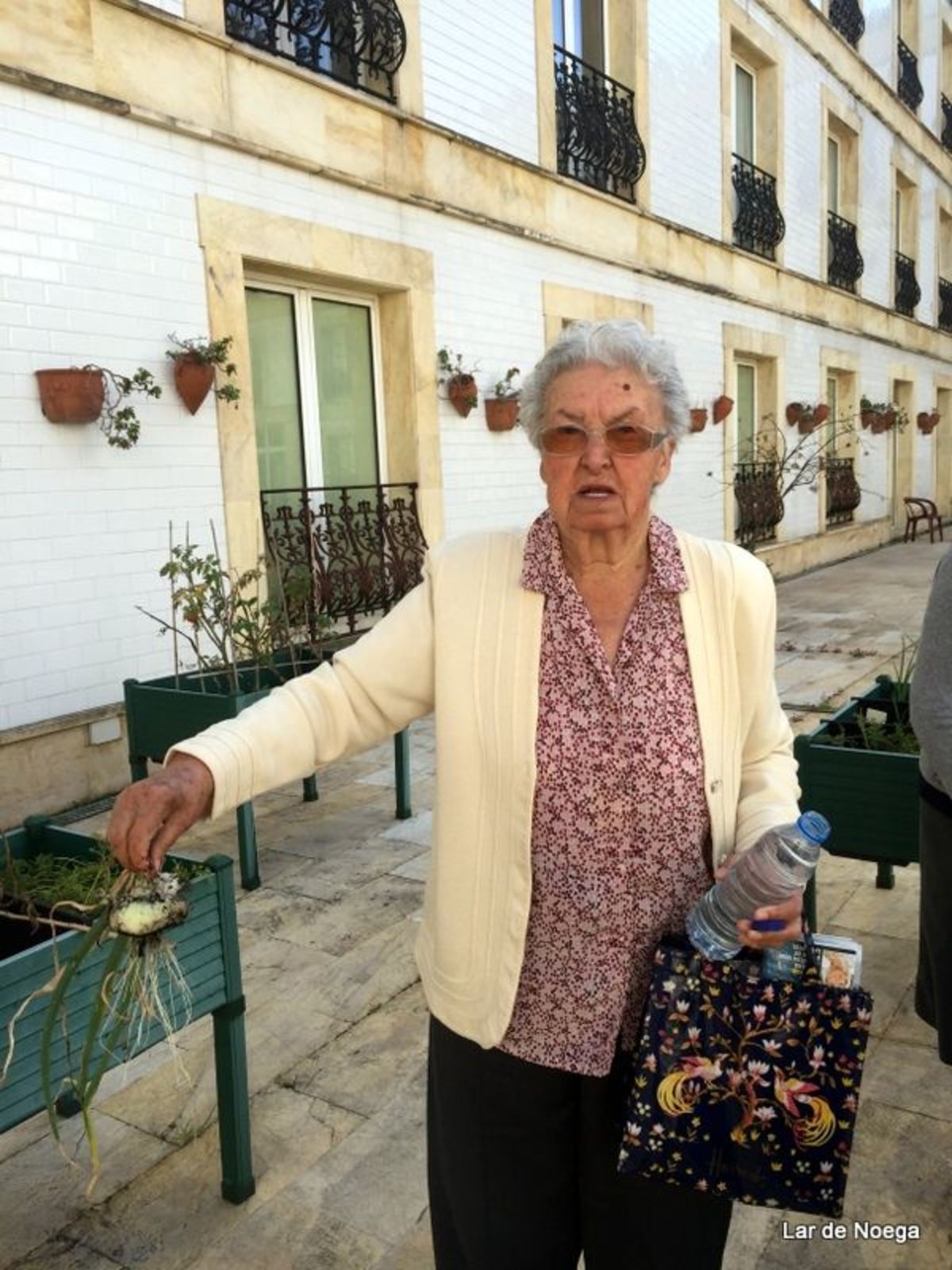 HUERTO III 2016