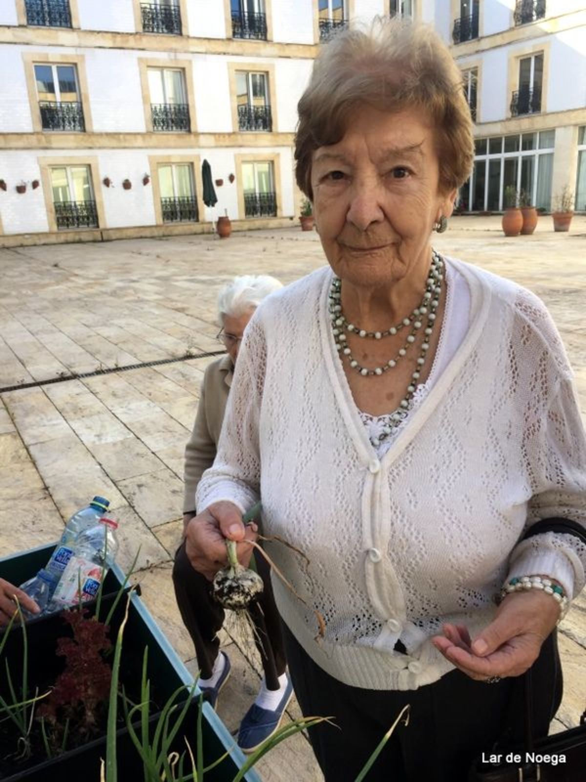 HUERTO III 2016