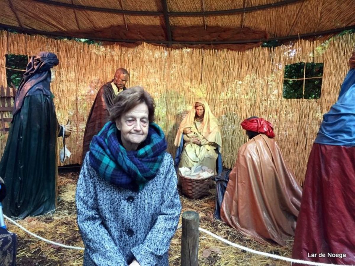 Excursión al Botánico Navidad 2016