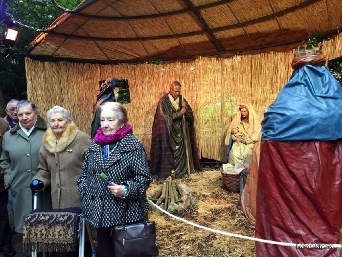 Excursión al Botánico Navidad 2016
