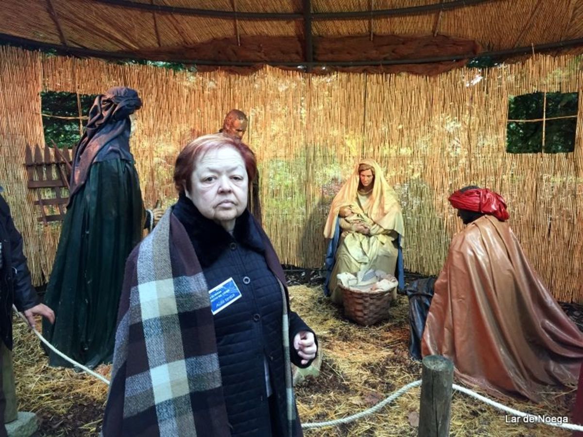 Excursión al Botánico Navidad 2016