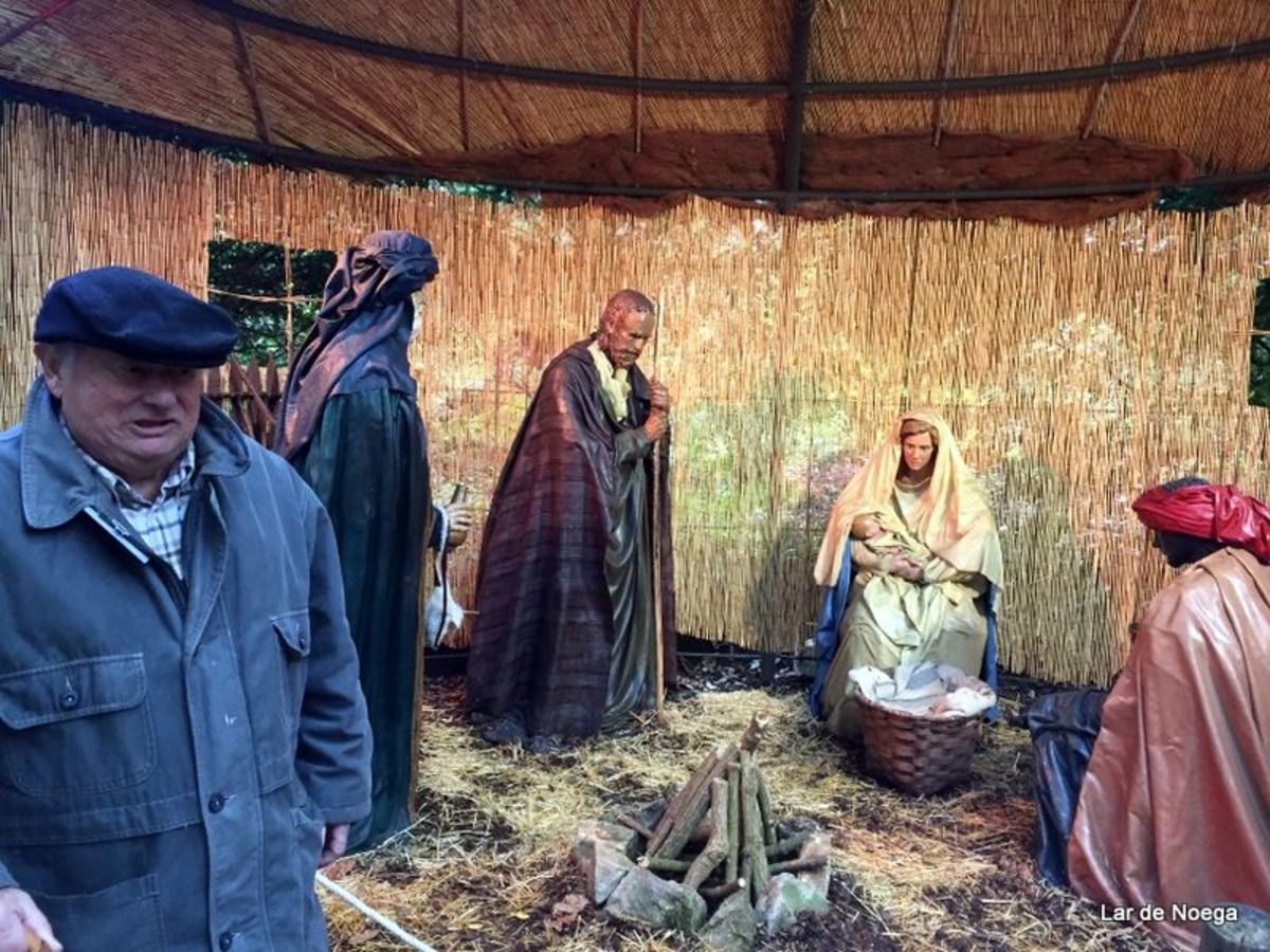 Excursión al Botánico Navidad 2016