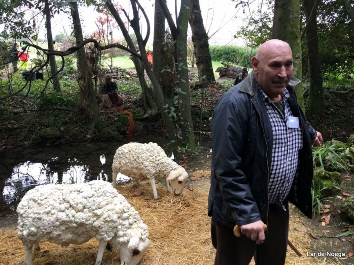 Excursión al Botánico Navidad 2016