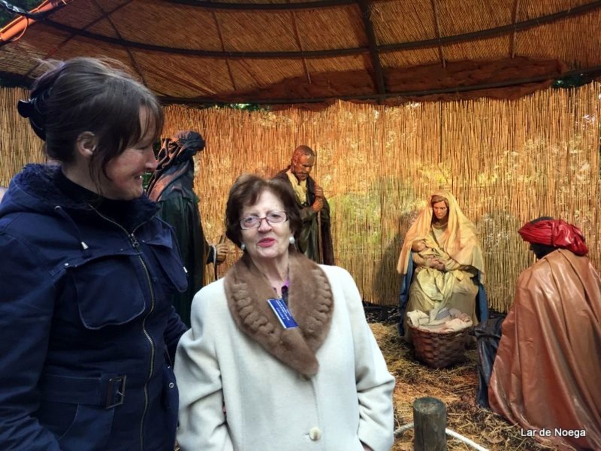 Excursión al Botánico Navidad 2016