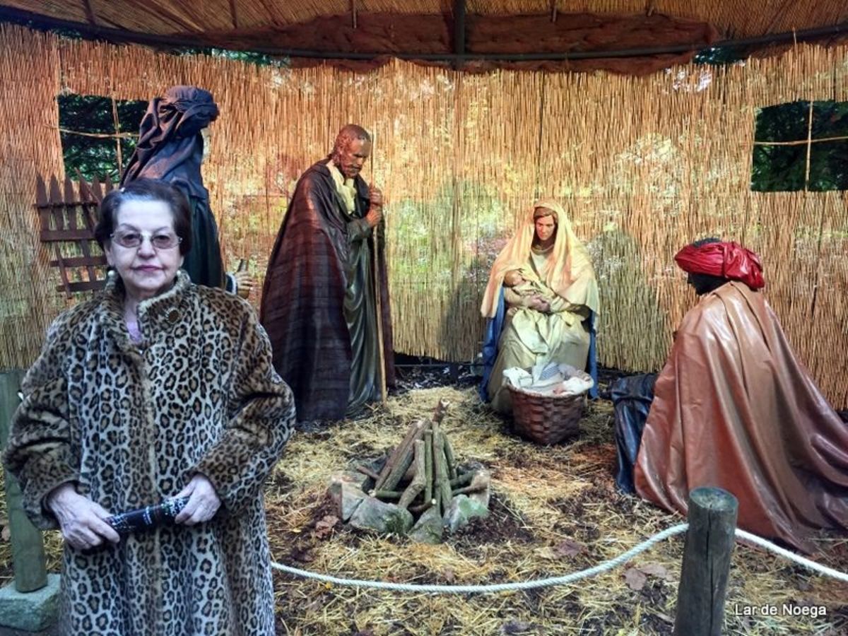 Excursión al Botánico Navidad 2016
