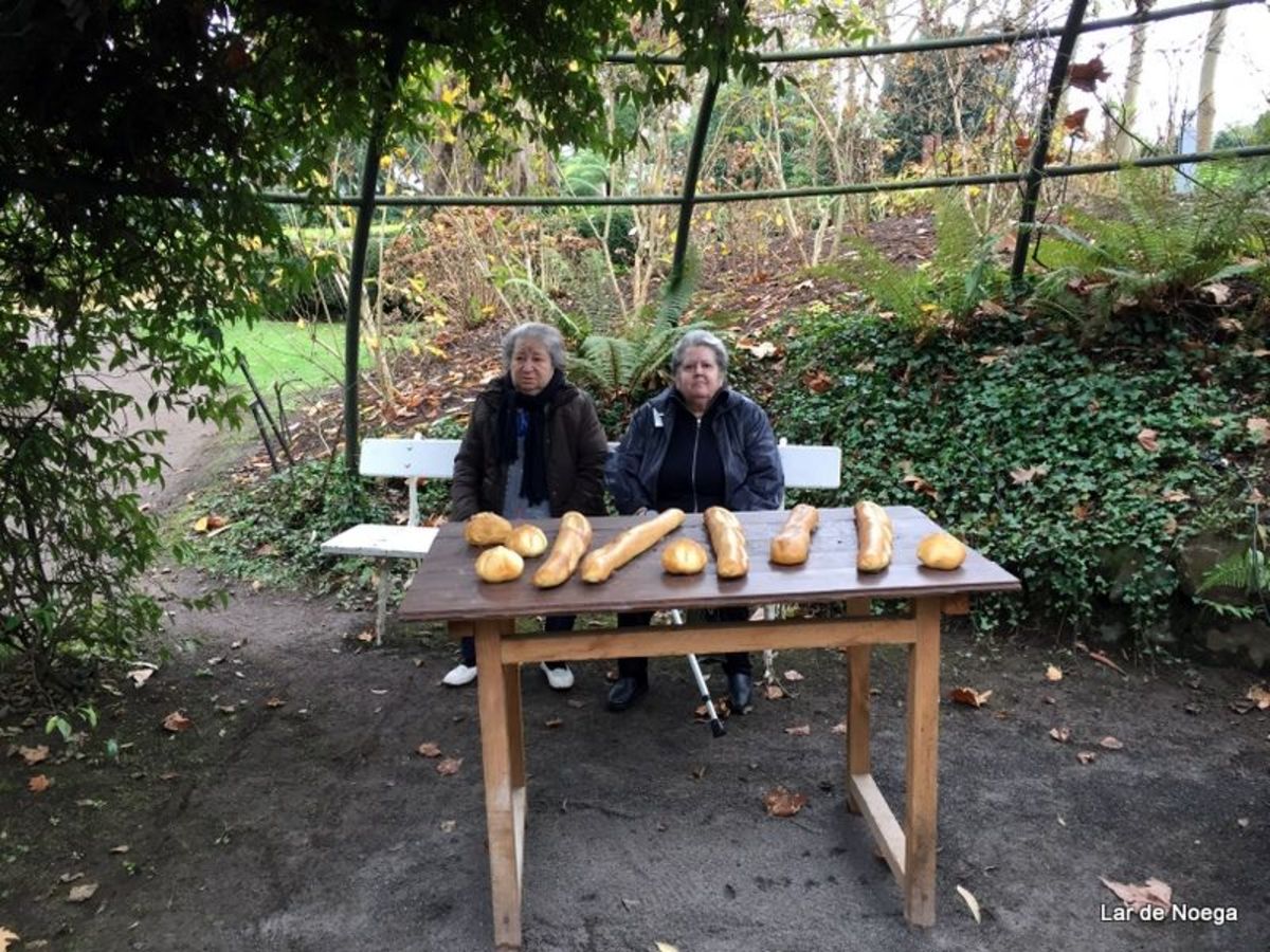 Excursión al Botánico Navidad 2016