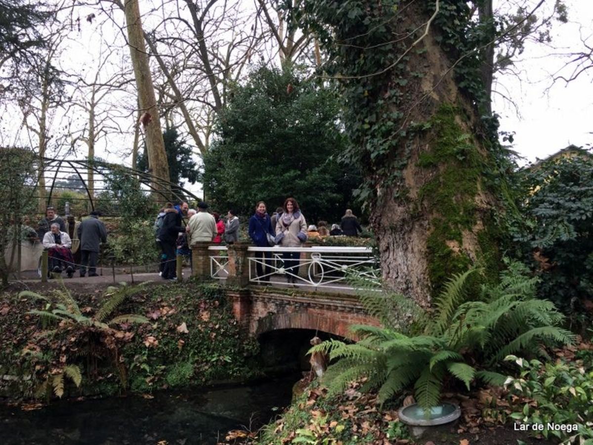 Excursión al Botánico Navidad 2016