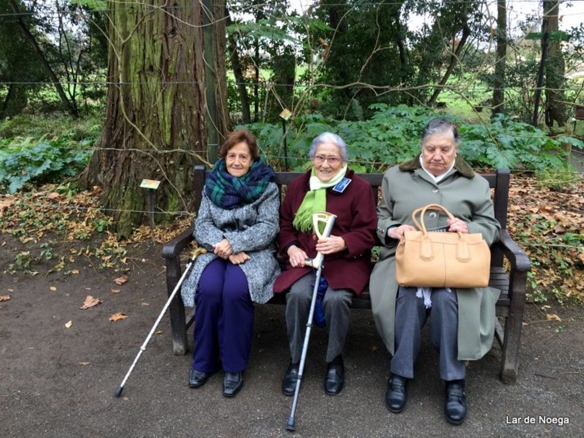 Excursión al Botánico Navidad 2016