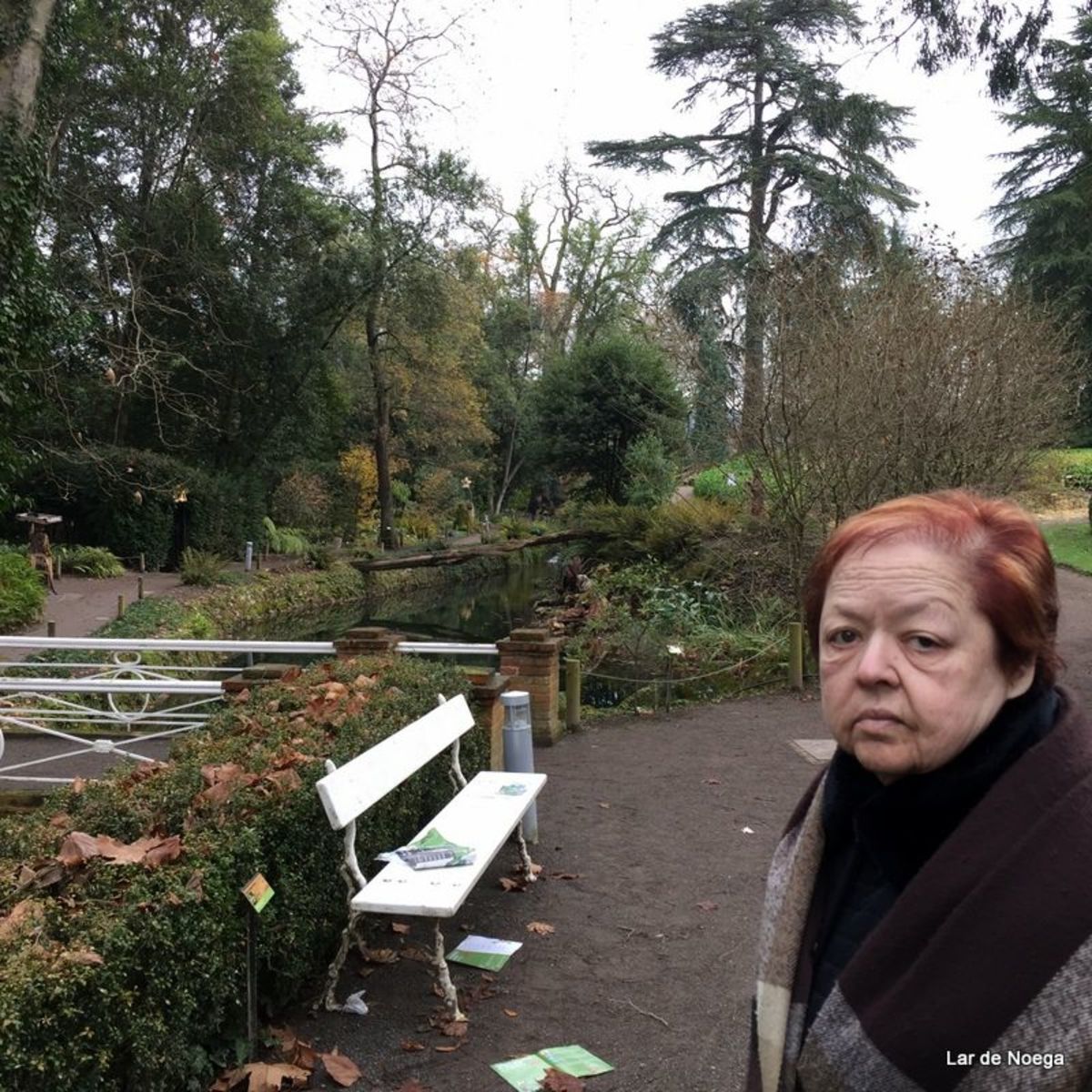 Excursión al Botánico Navidad 2016