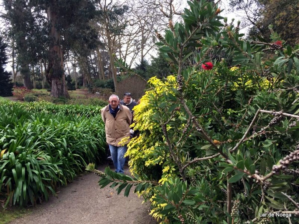 Excursión al Botánico Navidad 2016