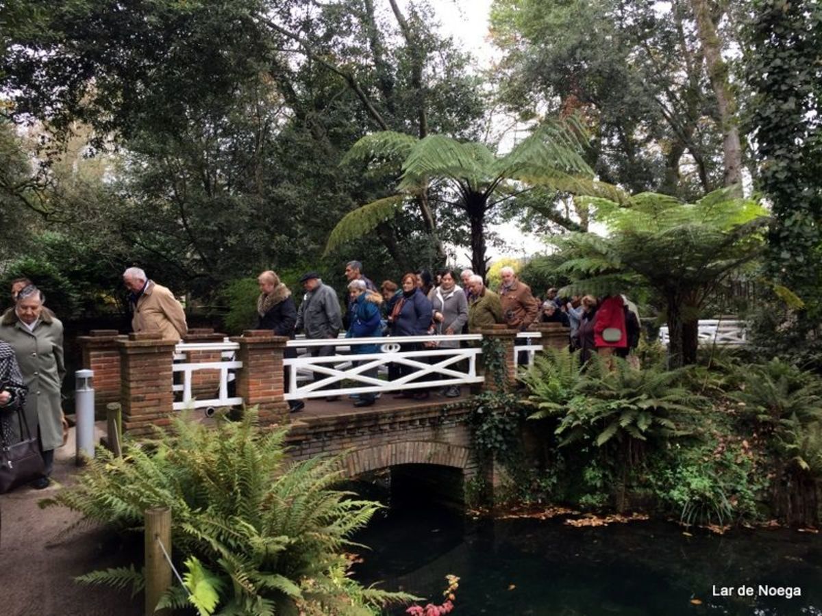 Excursión al Botánico Navidad 2016