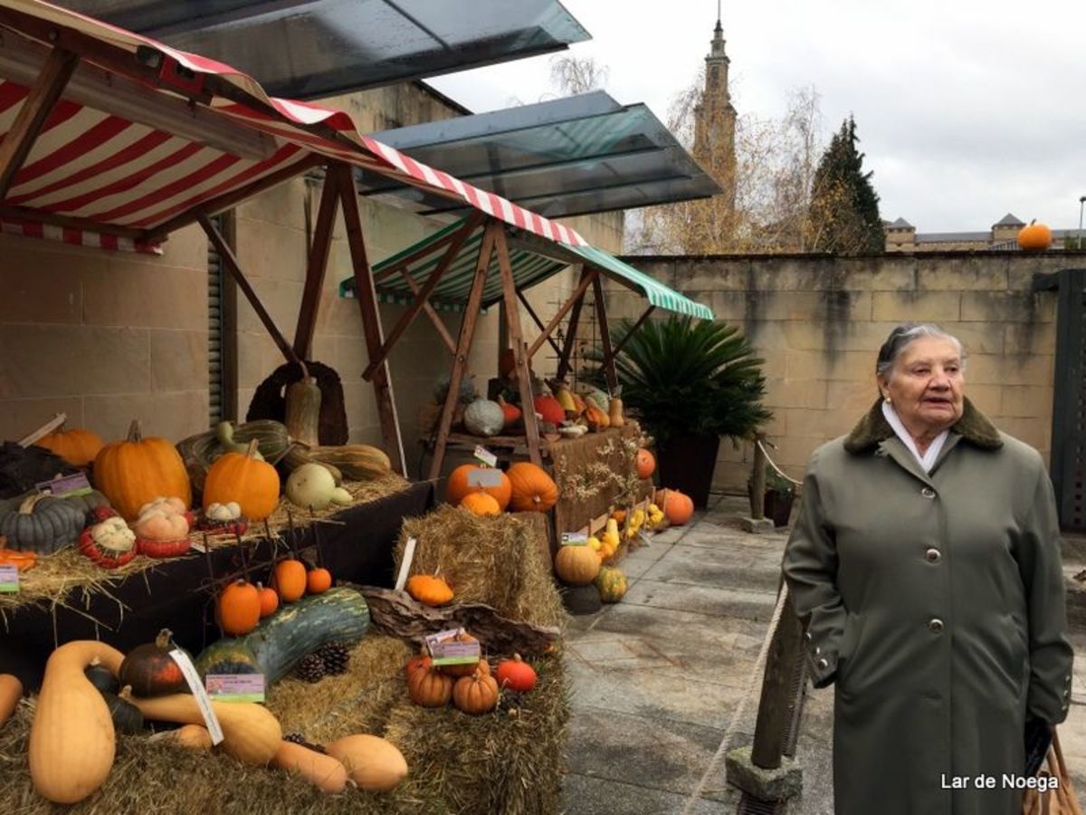 Excursión al Botánico Navidad 2016