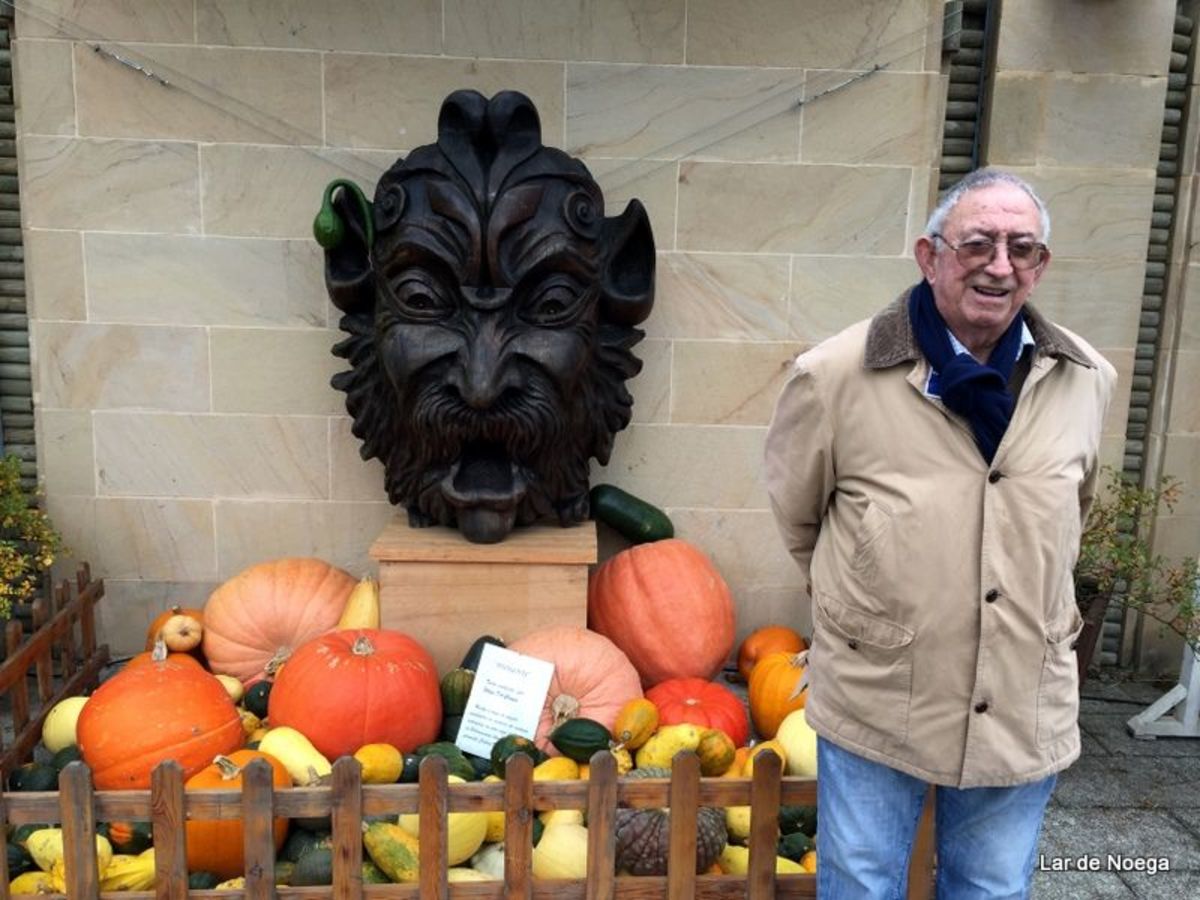 Excursión al Botánico Navidad 2016