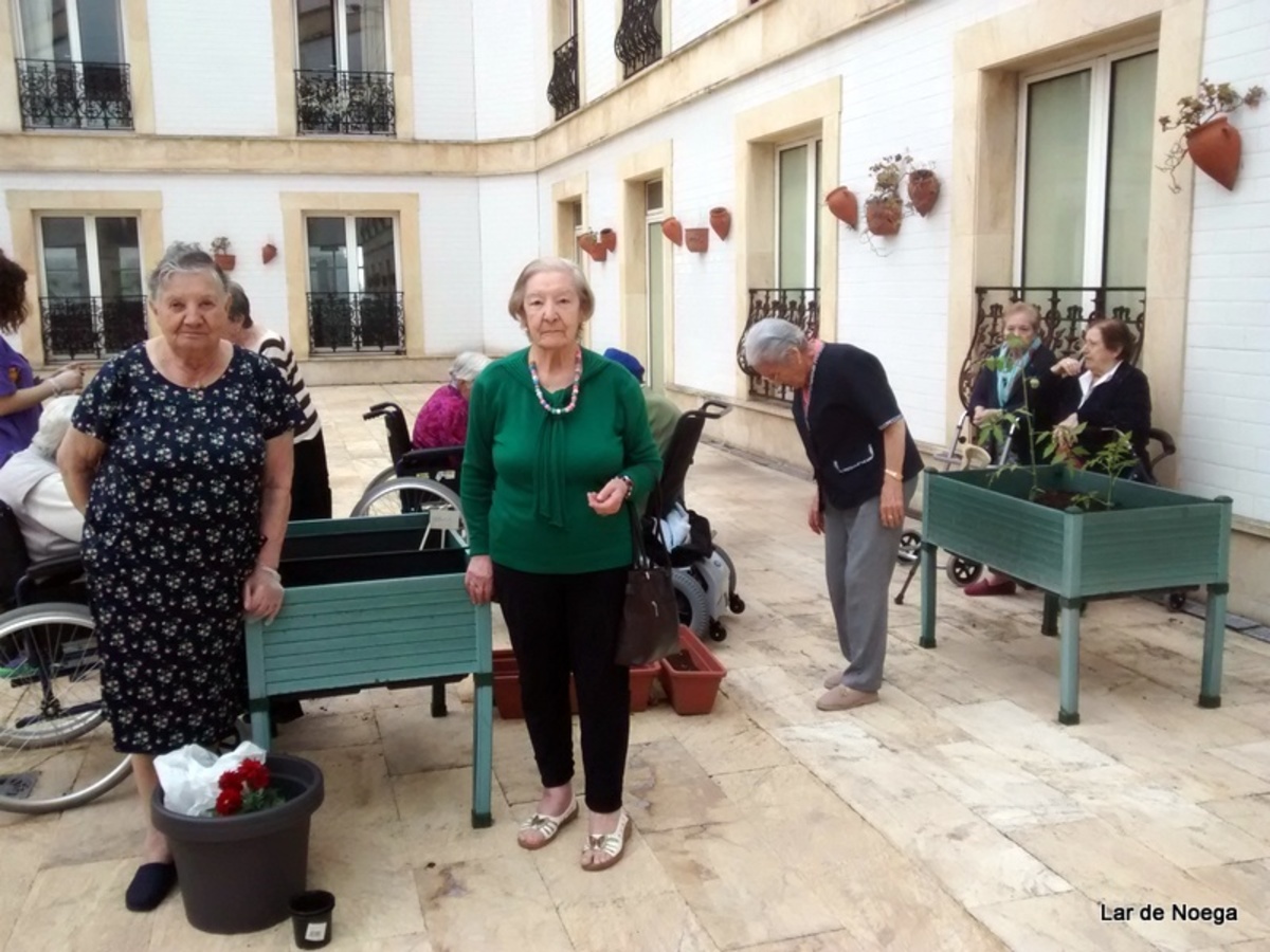 HUERTO JUNIO 2017