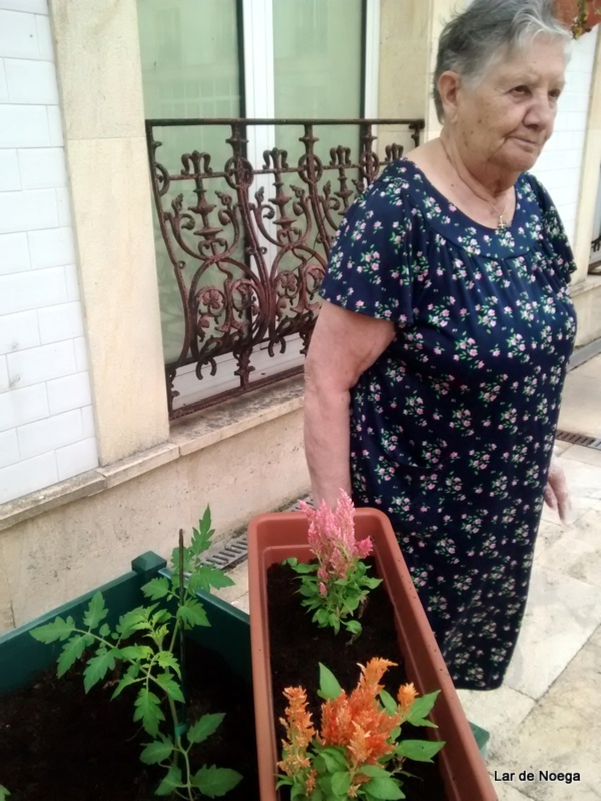 HUERTO JUNIO 2017