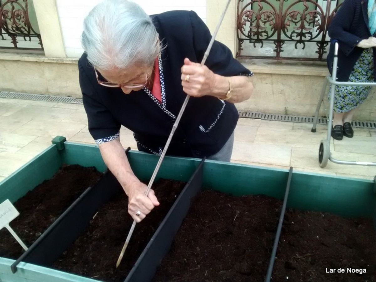HUERTO JUNIO 2017