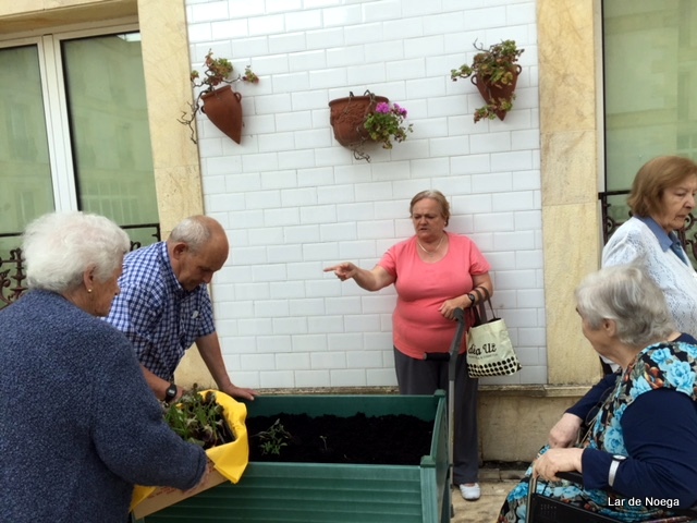 Huerto mayo 2018
