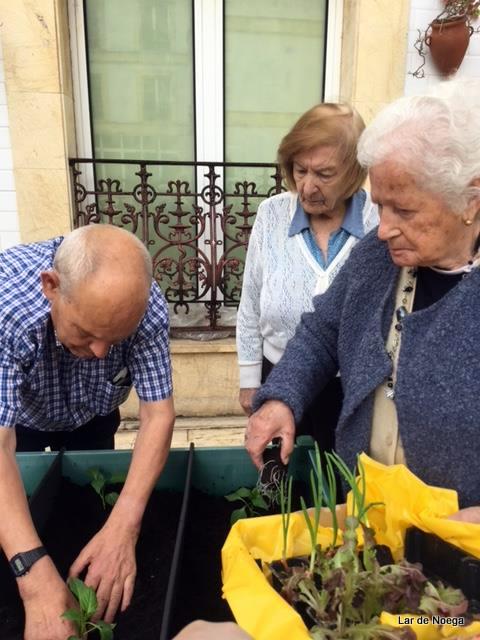 Huerto mayo 2018