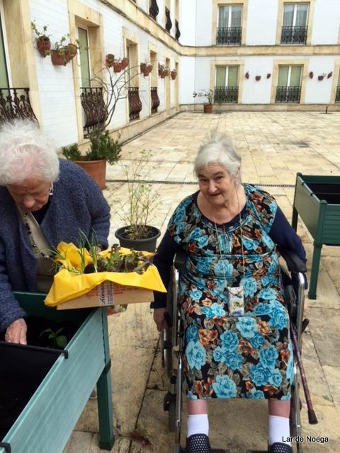 Huerto mayo 2018