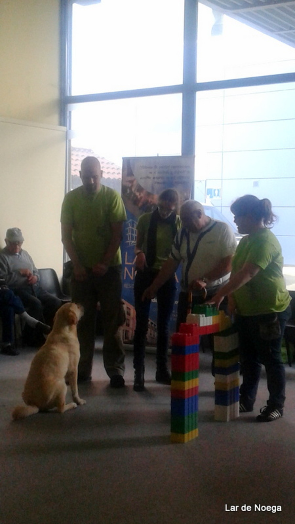 Terapia Asistida con Entrecanes