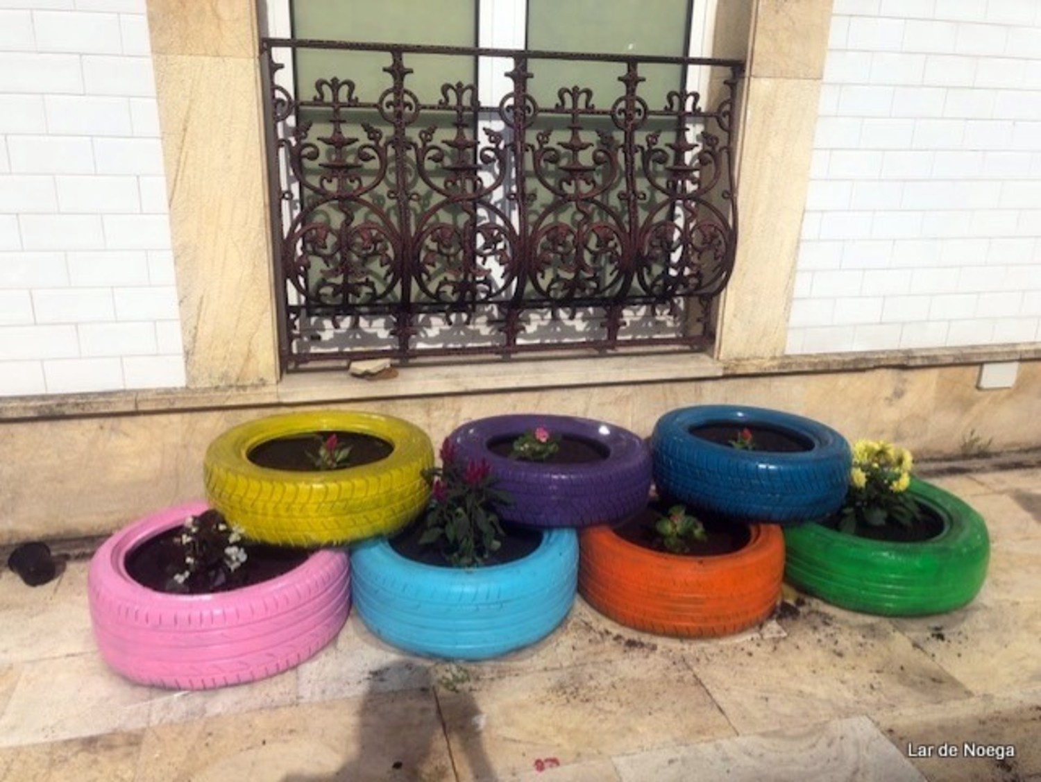 NEUMÁTICOS NEUMÁTICOS