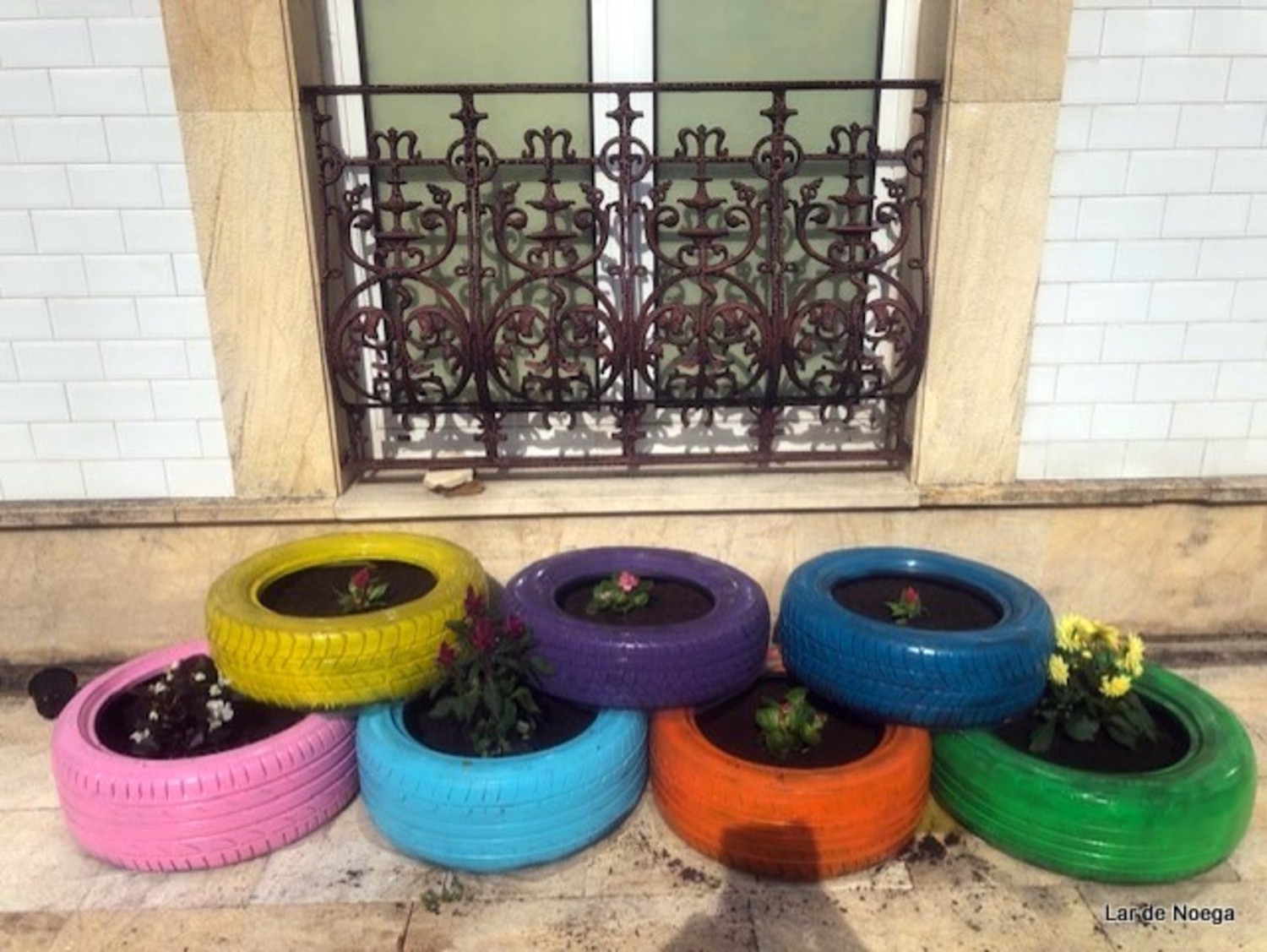 NEUMÁTICOS NEUMÁTICOS