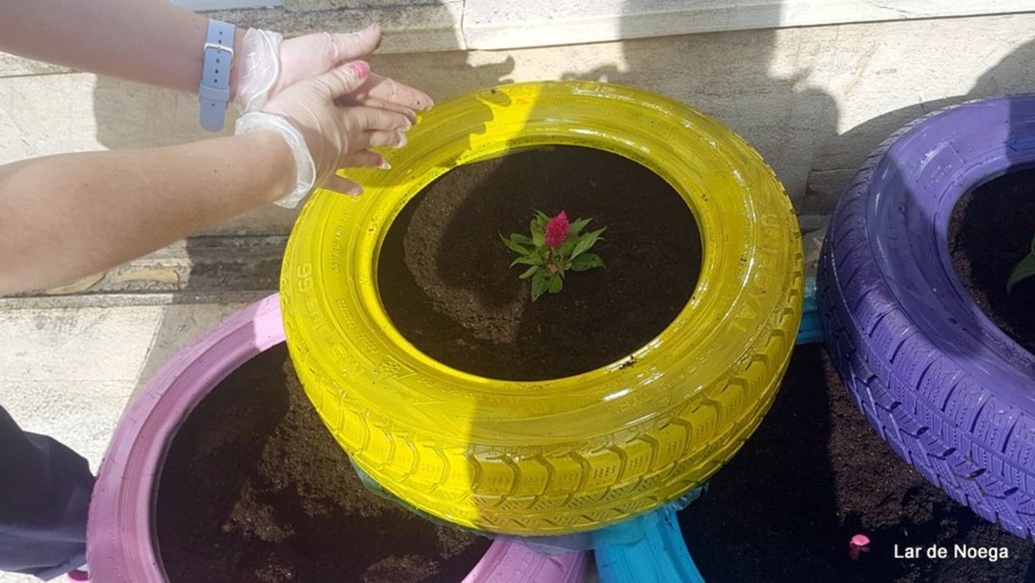 NEUMÁTICOS NEUMÁTICOS