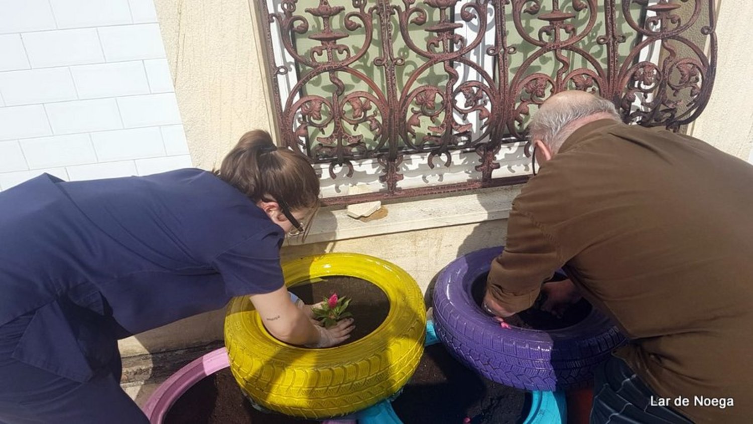 NEUMÁTICOS NEUMÁTICOS