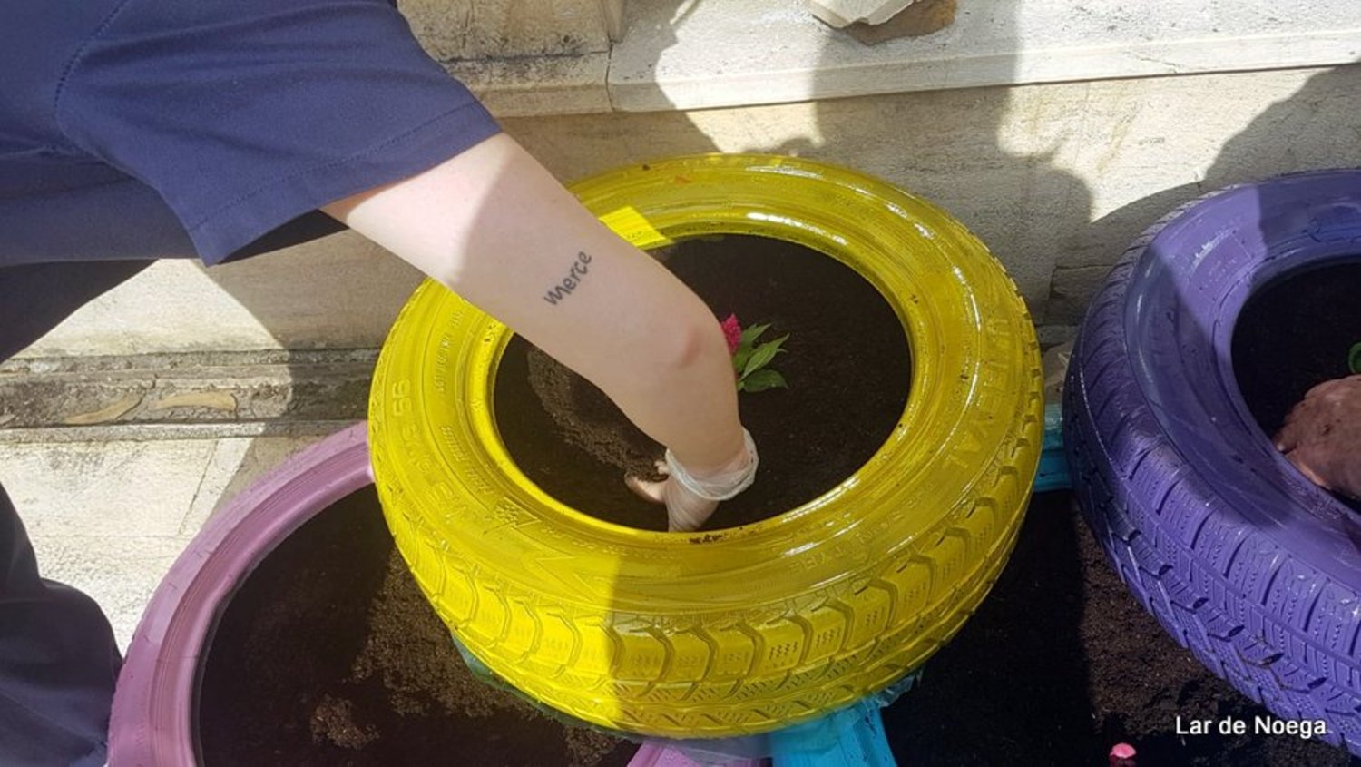 NEUMÁTICOS NEUMÁTICOS