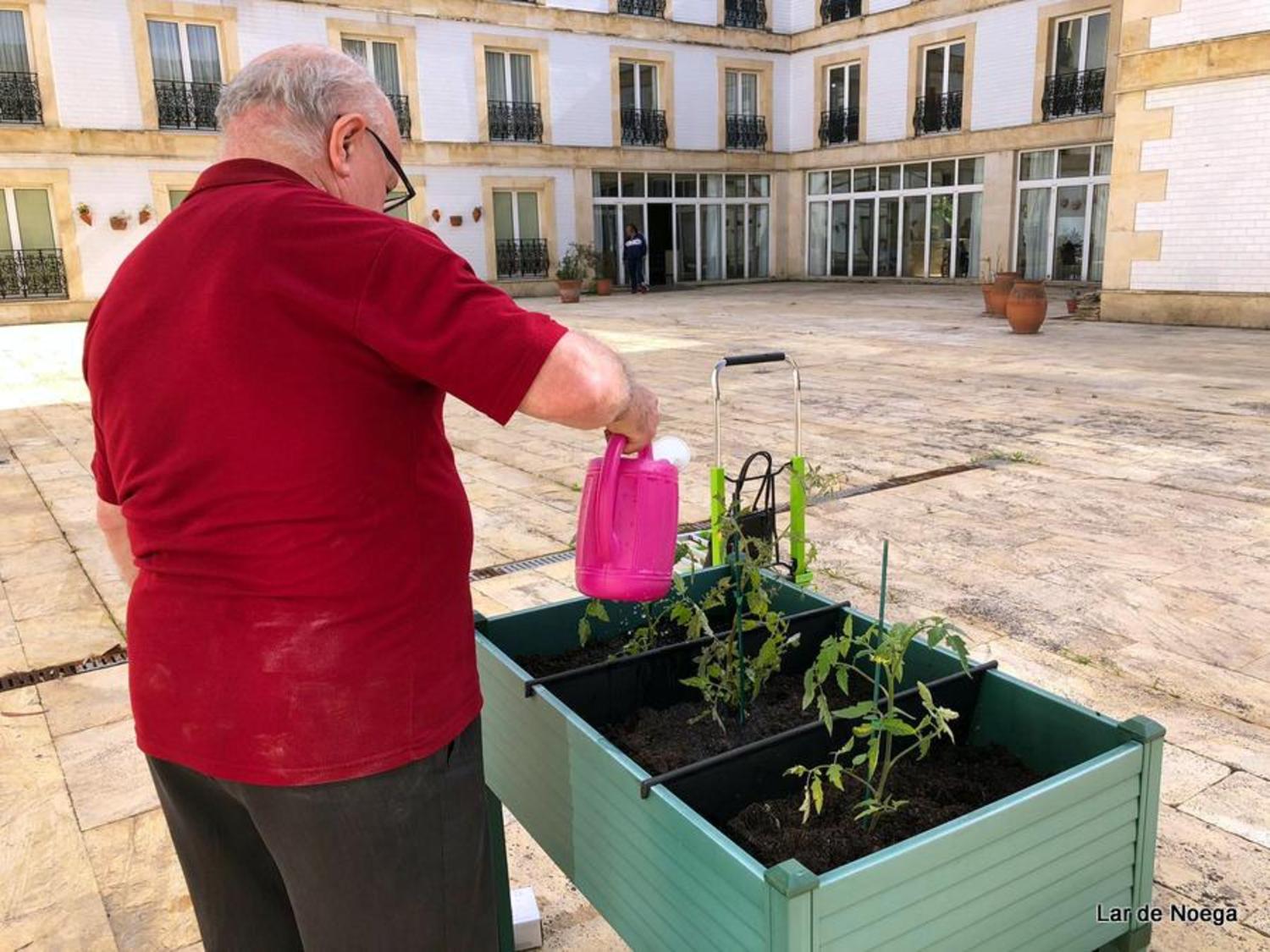Huerto Junio 2019