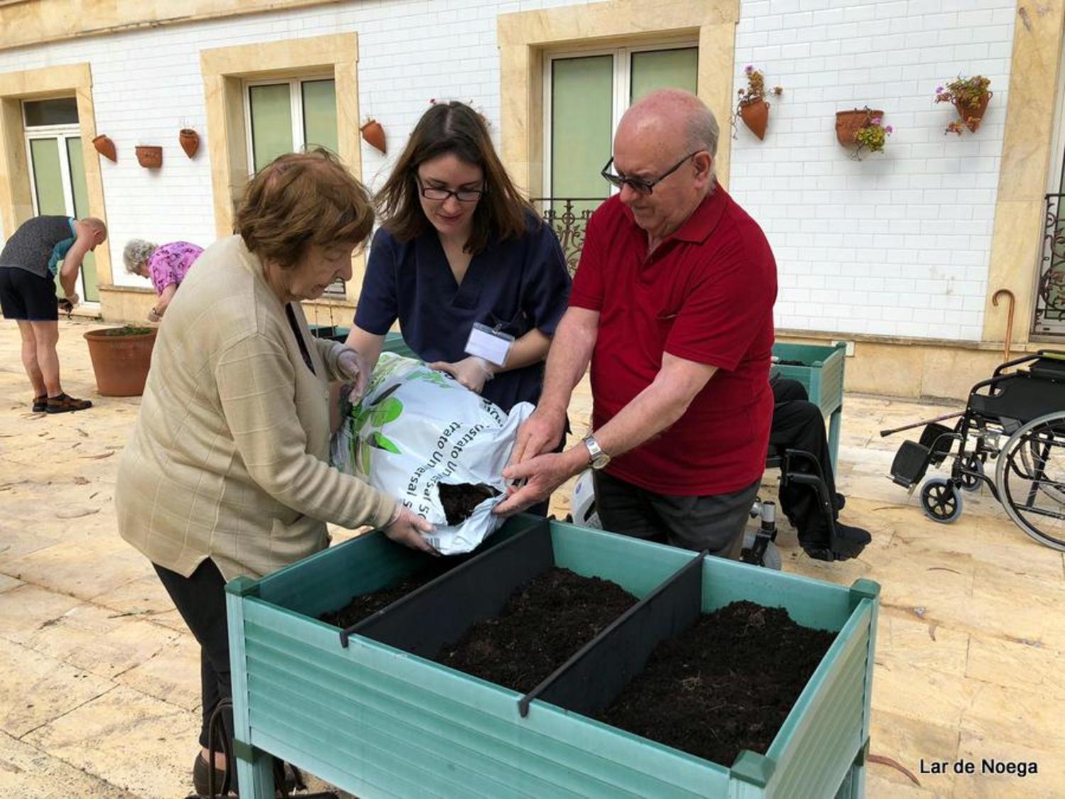 Huerto Junio 2019