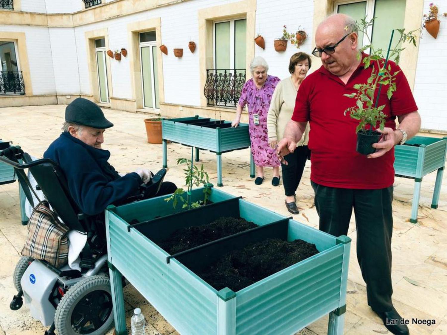 Huerto Junio 2019
