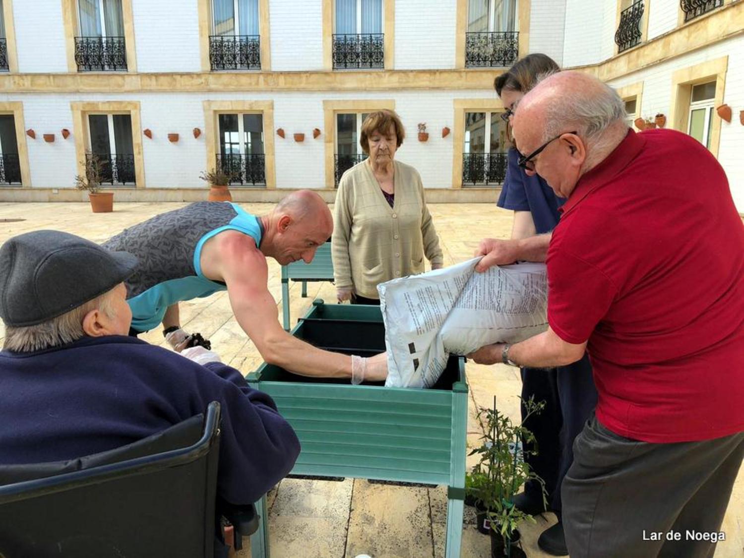 Huerto Junio 2019