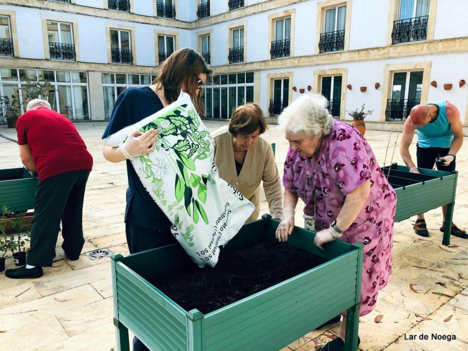 Huerto Junio 2019