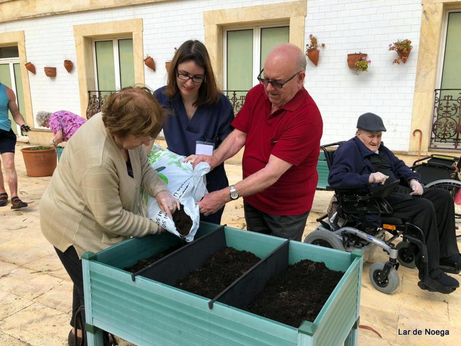 Huerto Junio 2019