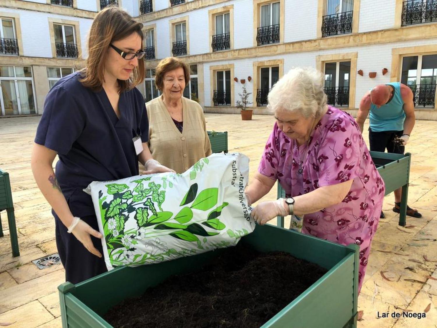 Huerto Junio 2019