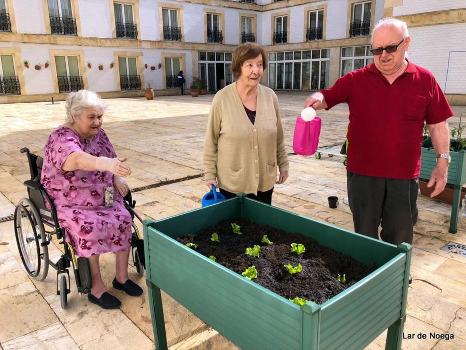 Huerto Junio 2019