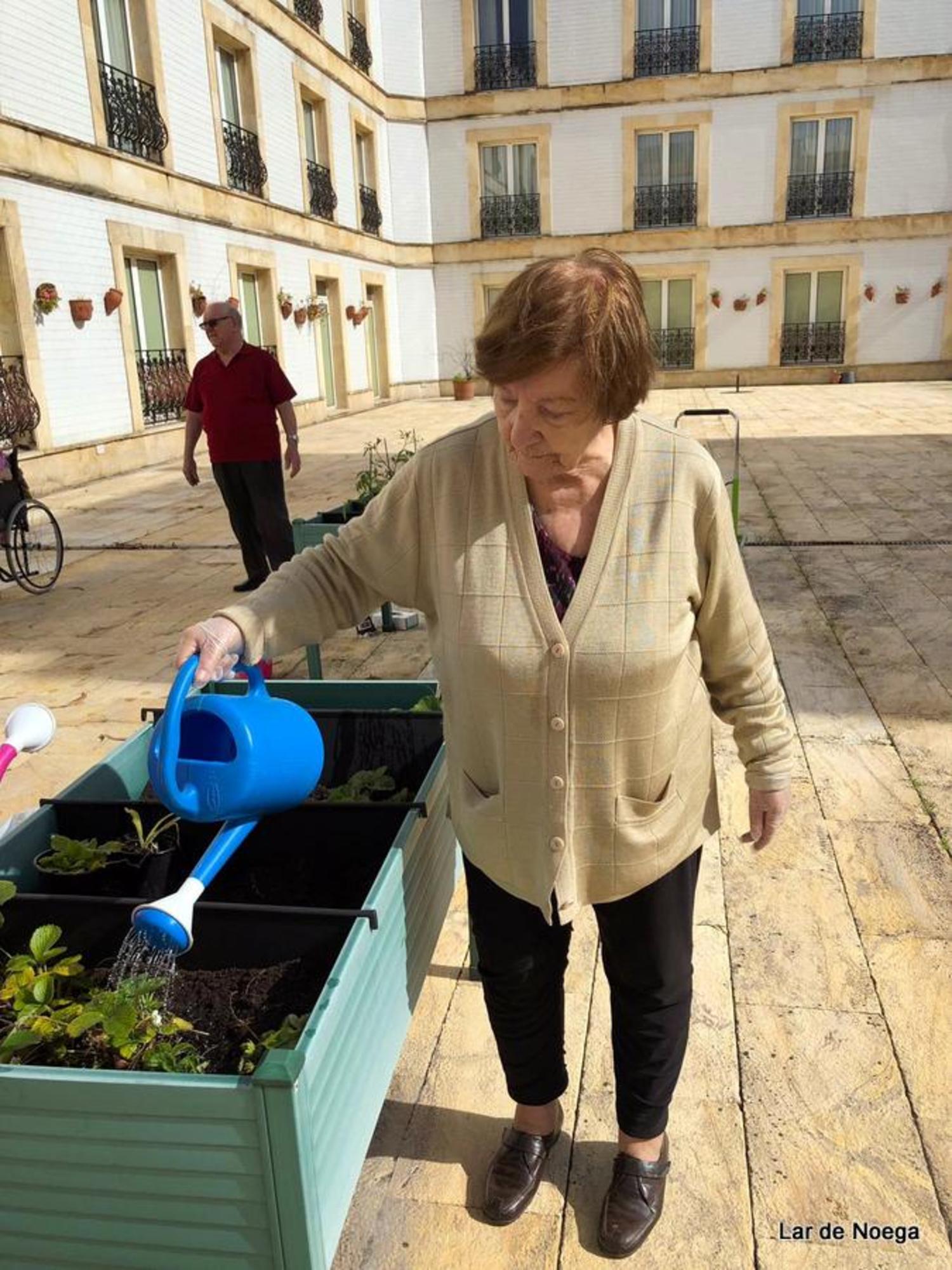 Huerto Junio 2019