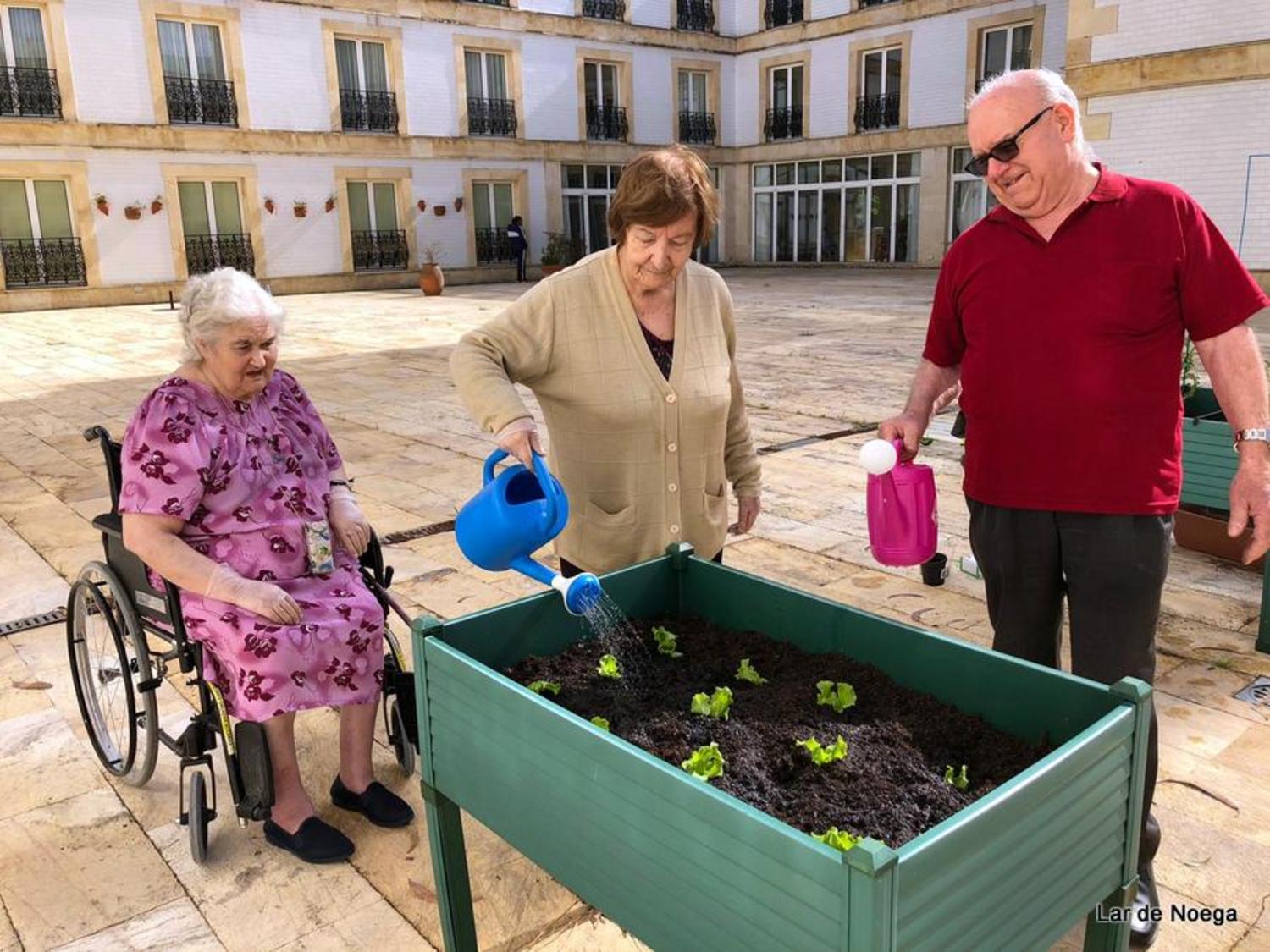 Huerto Junio 2019