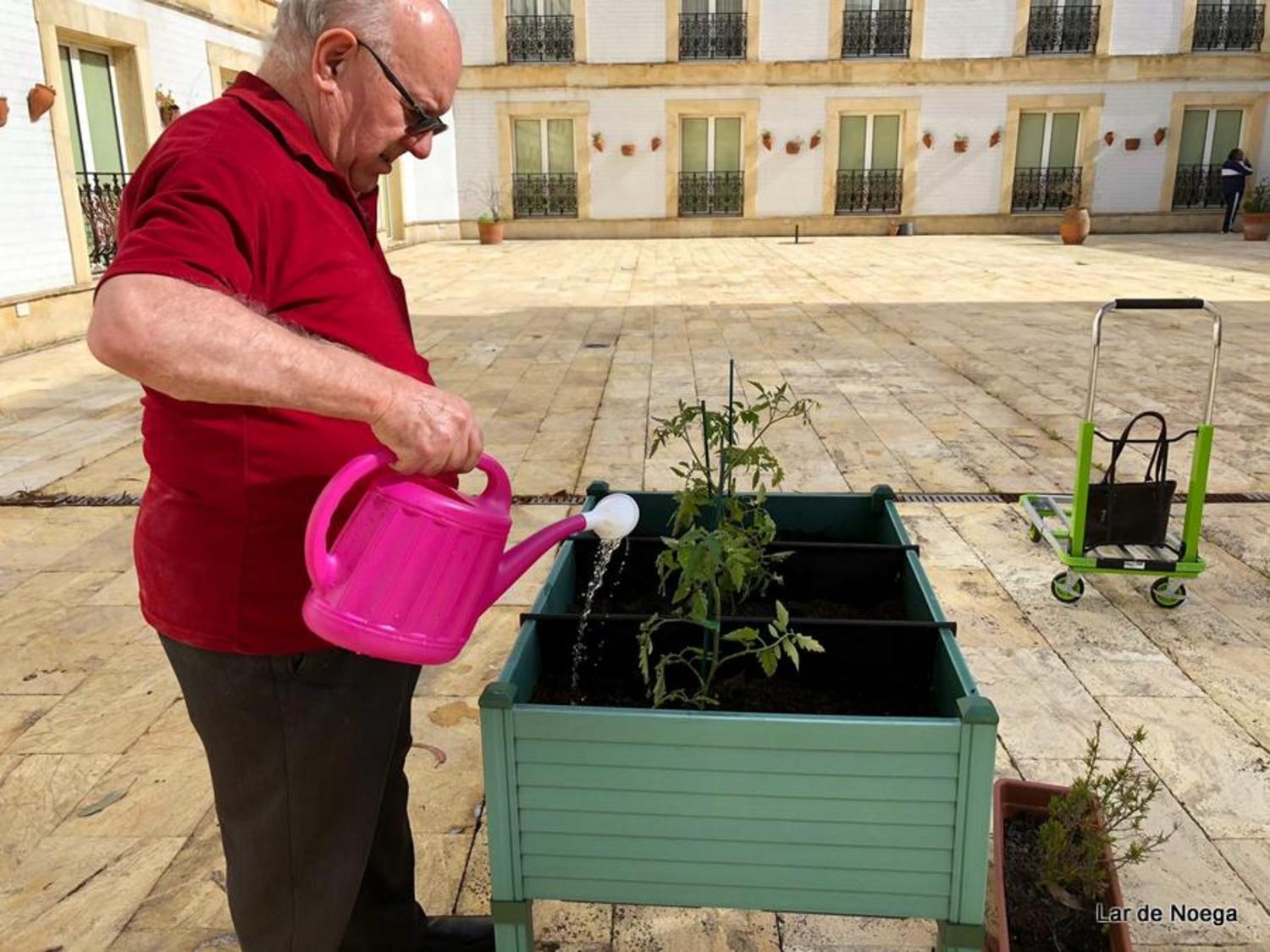 Huerto Junio 2019