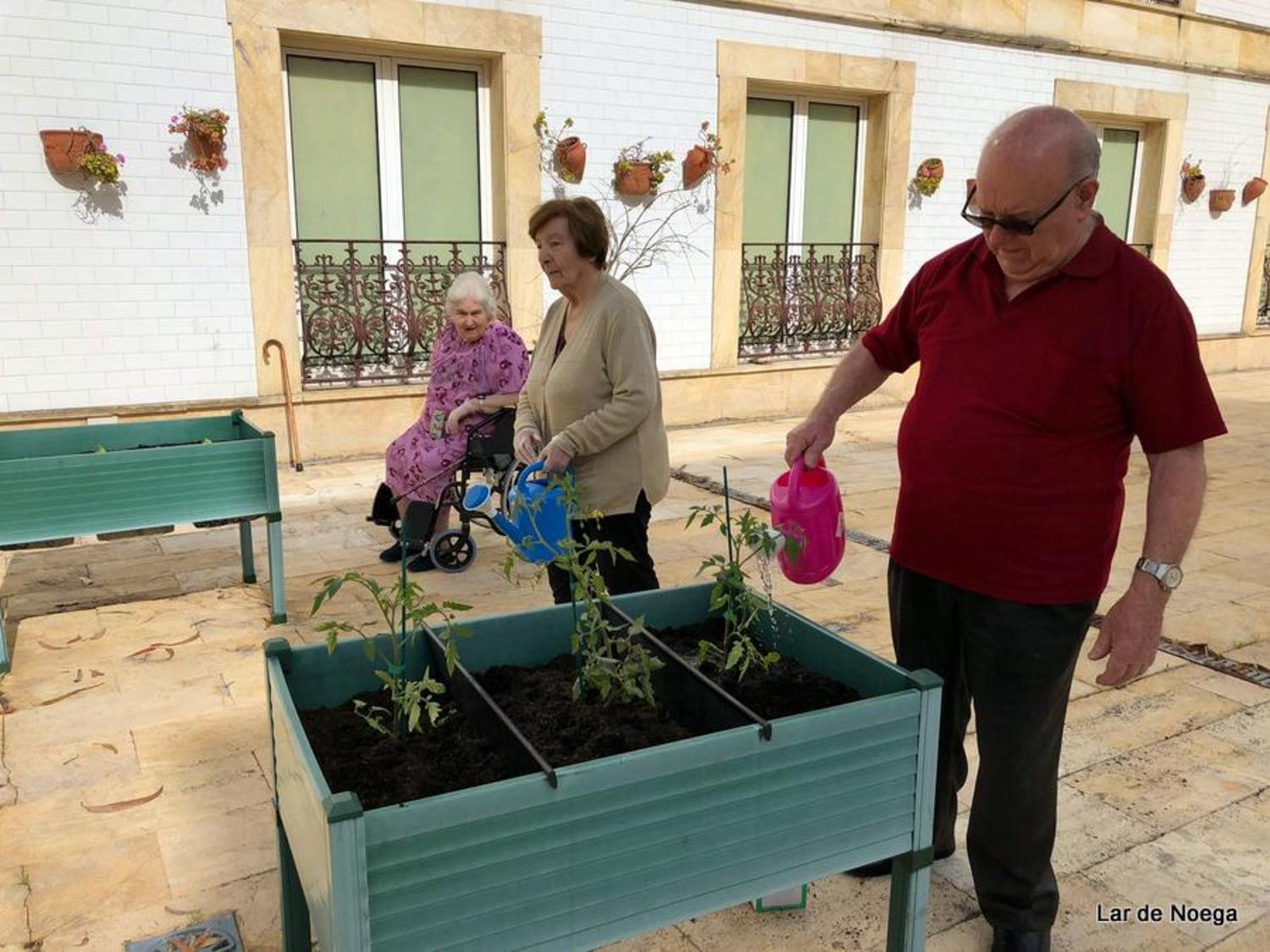 Huerto Junio 2019