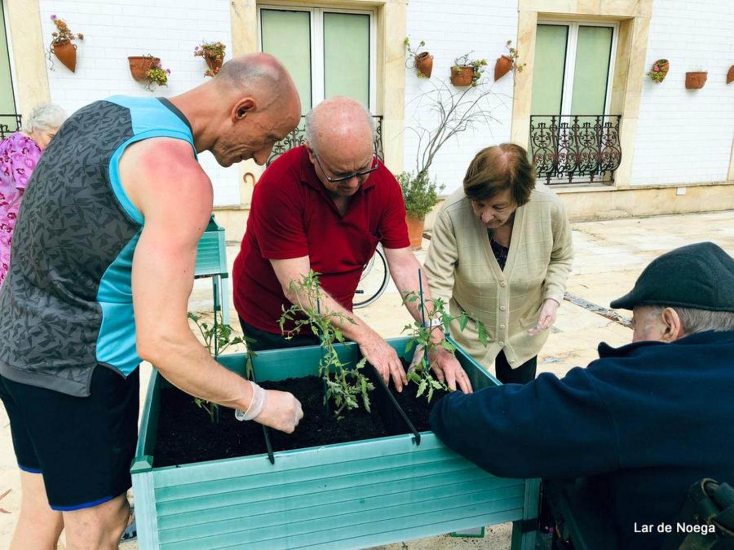 Huerto Junio 2019