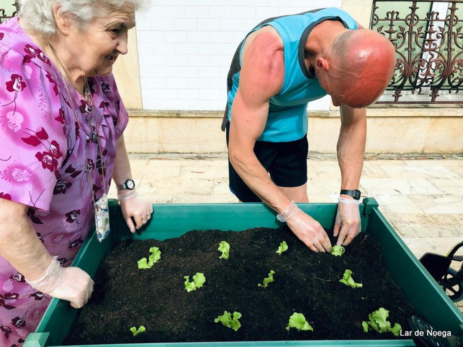 Huerto Junio 2019